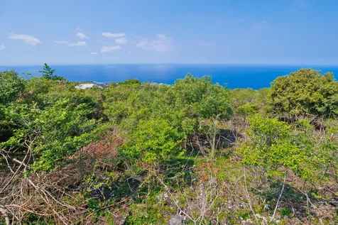 Awapuhi Avenue Captain Cook HI 96704