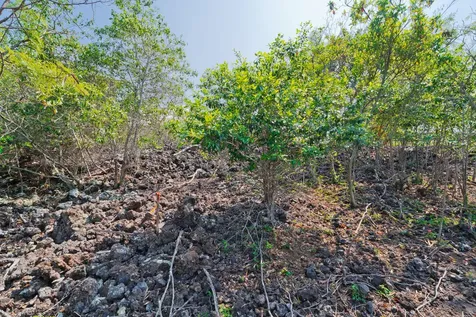 Awapuhi Avenue Captain Cook HI 96704