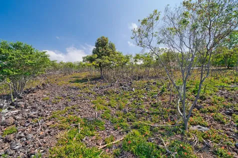 Awapuhi Avenue Captain Cook HI 96704