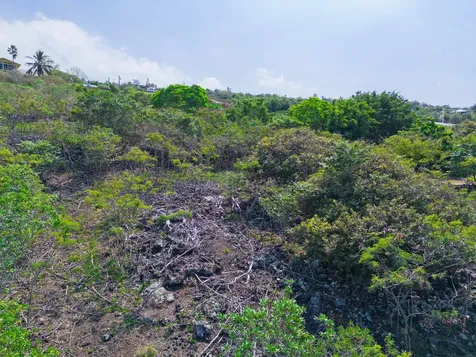 Awapuhi Avenue Captain Cook HI 96704