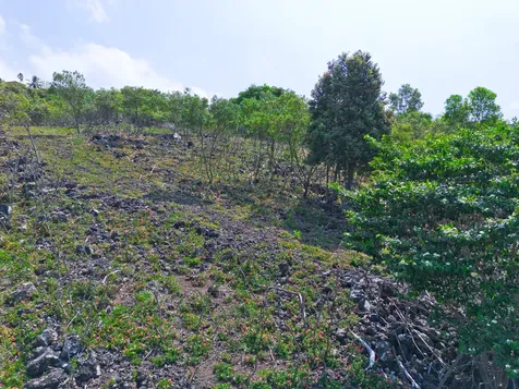 Awapuhi Avenue Captain Cook HI 96704