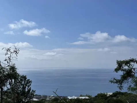 Awapuhi Avenue Captain Cook HI 96704