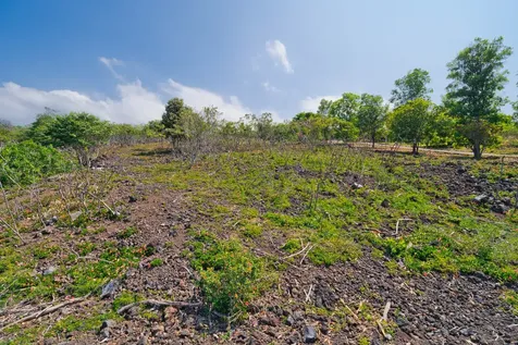 Awapuhi Avenue Captain Cook HI 96704