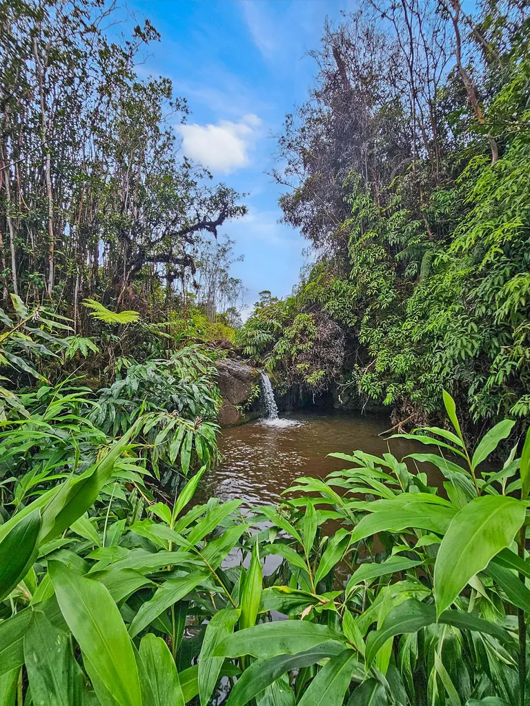 2883 Kaiwiki Road Hilo HI 96720