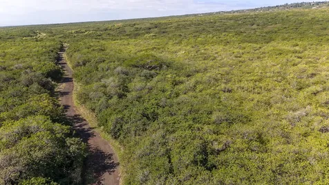 Kaalualu Road Naalehu HI 96772