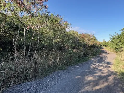 Kaalualu Road Naalehu HI 96772