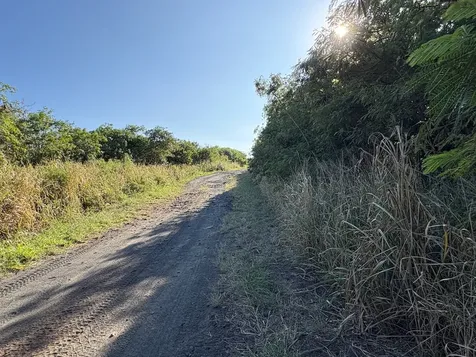 Kaalualu Road Naalehu HI 96772