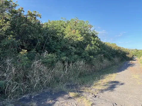 Kaalualu Road Naalehu HI 96772