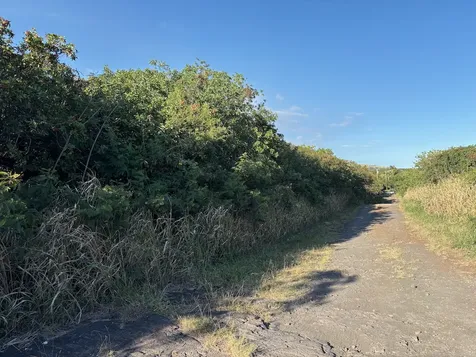 Kaalualu Road Naalehu HI 96772