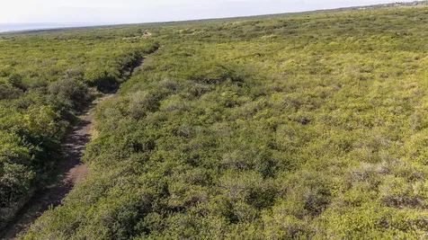 Kaalualu Road Naalehu HI 96772