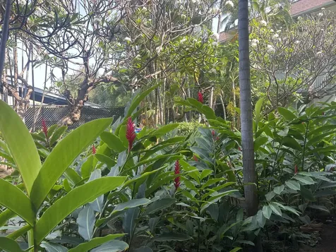 75-5776 Kuakini Highway Kailua-kona HI 96740