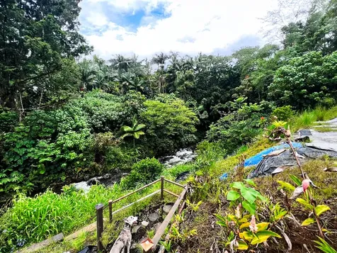 291 Wainaku Hilo HI 96720