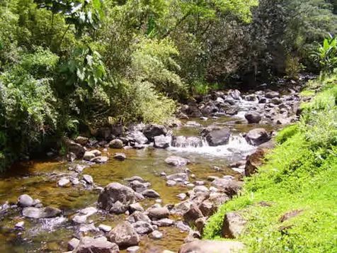 291 Wainaku Hilo HI 96720