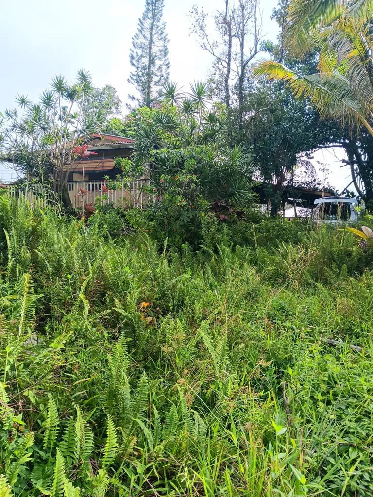 16-2062 Hapuu Drive Pahoa HI 96778