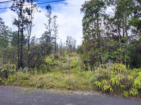 Road 1 (uhini Ana) Mountain View HI 96760