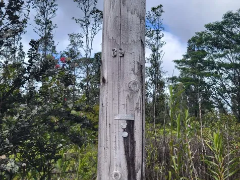 Road 1 (uhini Ana) Mountain View HI 96760