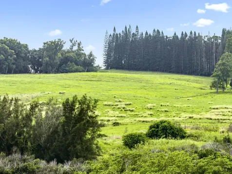 54-2198 Kynnersley Road Kapaau HI 96755