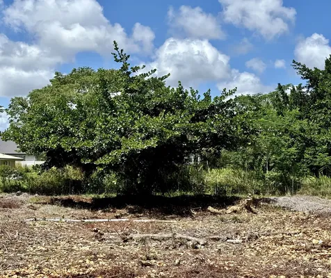 15-1423 16th Avenue Keaau HI 96749