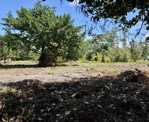 15-1423 16th Avenue Keaau HI 96749