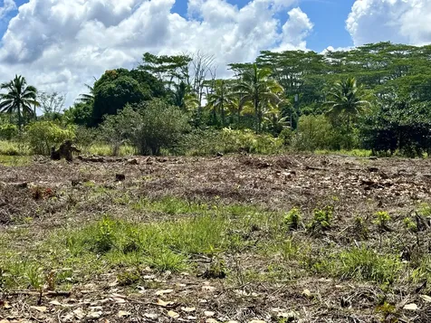 15-1423 16th Avenue Keaau HI 96749