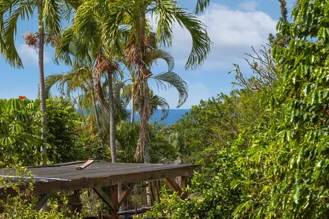 75-5814 Lewa Place Kailua-kona HI 96740