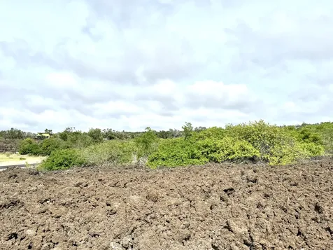 Catamaran Lane Ocean View HI 96737