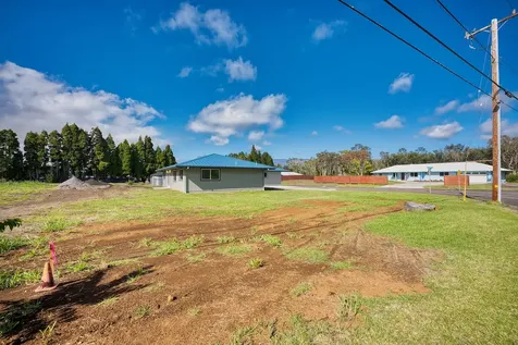 99-303 Maunanani Place Volcano HI 96718