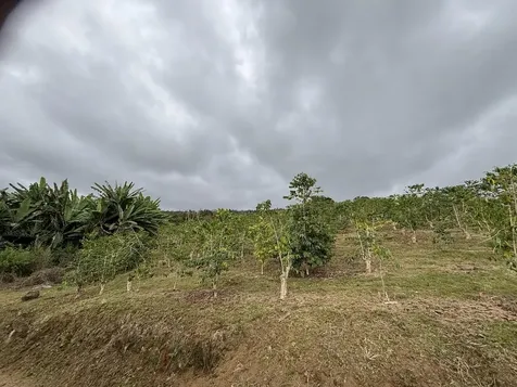 Bruner Road Captain Cook HI 96726