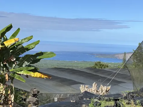 Bruner Road Captain Cook HI 96726