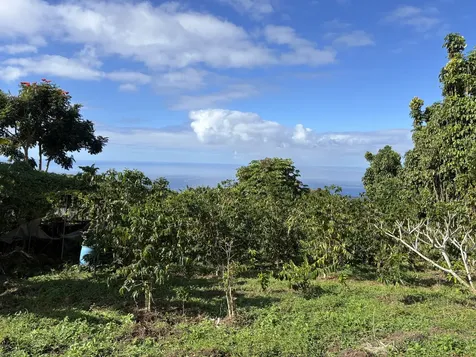 Bruner Road Captain Cook HI 96726