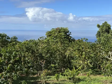 Bruner Road Captain Cook HI 96726