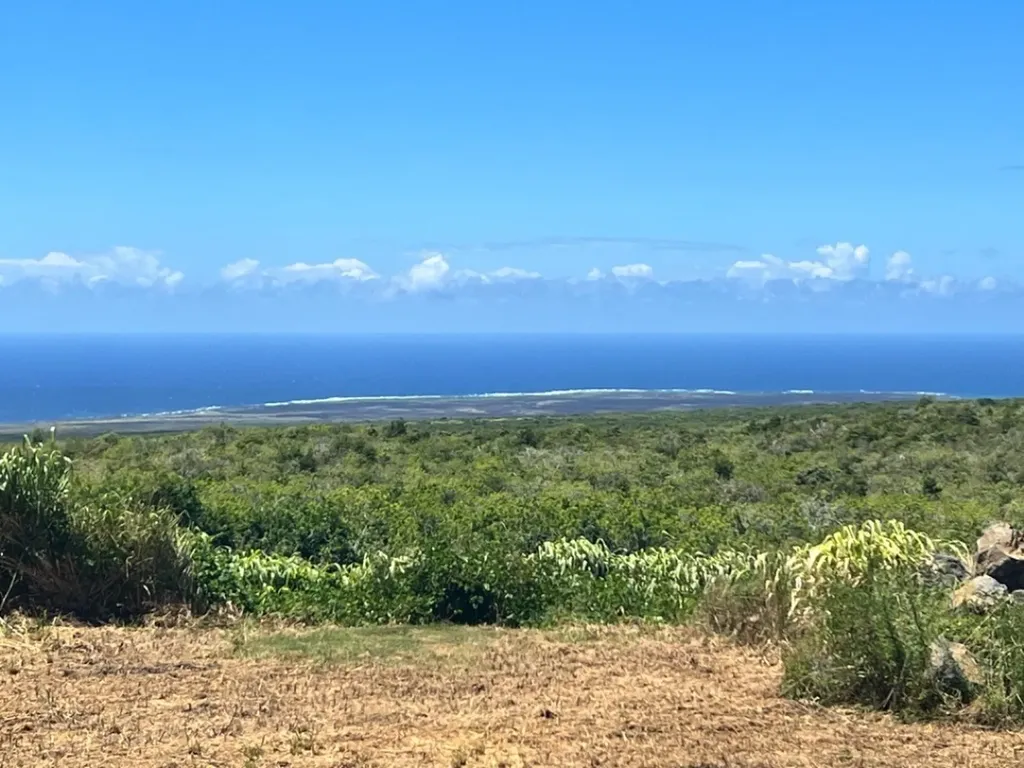 94-6515 Palaoa Road Naalehu HI 96772
