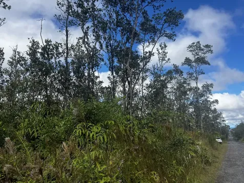 Kaleponi Drive Volcano HI 96785