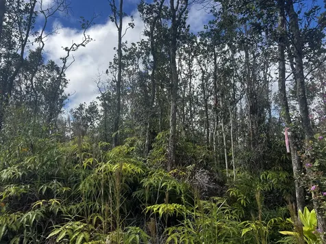 Kaleponi Drive Volcano HI 96785