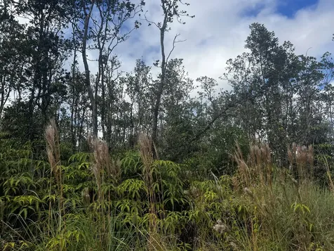 Kaleponi Drive Volcano HI 96785