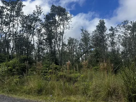 Kaleponi Drive Volcano HI 96785