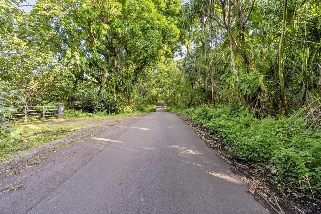 Government Beach Road Pahoa HI 96778