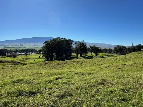 64-550 Mamalahoa Highway Kamuela HI 96743