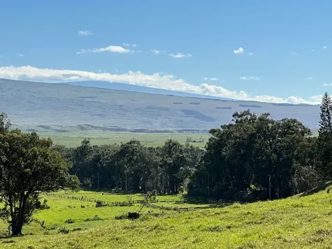 64-550 Mamalahoa Highway Kamuela HI 96743