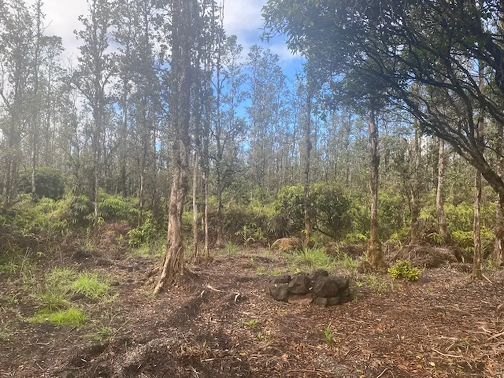 Hopue Road Mountain View HI 96760