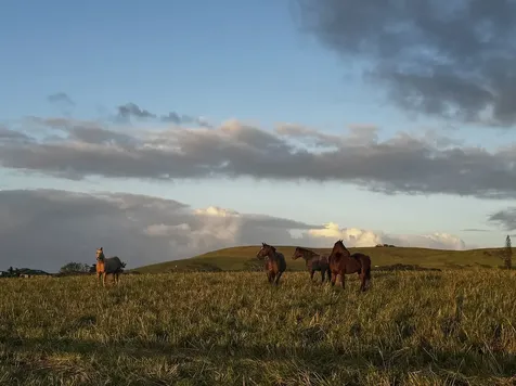 56-2929 Puakea Bay Drive Hawi HI 96719