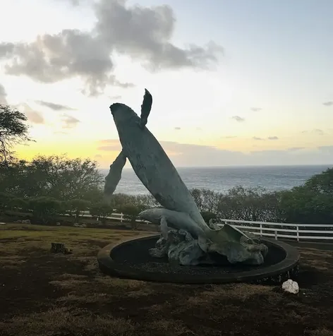 56-2929 Puakea Bay Drive Hawi HI 96719