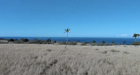 56-2929 Puakea Bay Drive Hawi HI 96719