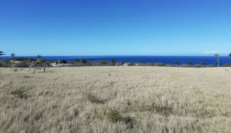 56-2929 Puakea Bay Drive Hawi HI 96719