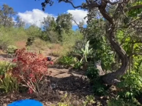 92-1520 Luau Drive Ocean View HI 96737