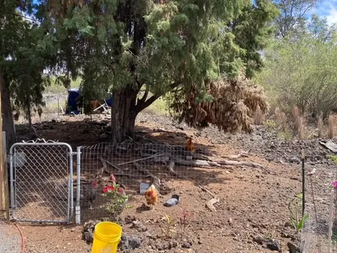 92-1520 Luau Drive Ocean View HI 96737