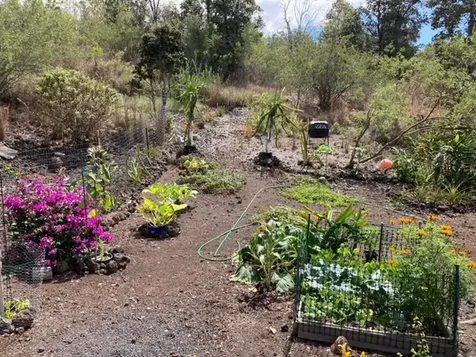 92-1520 Luau Drive Ocean View HI 96737