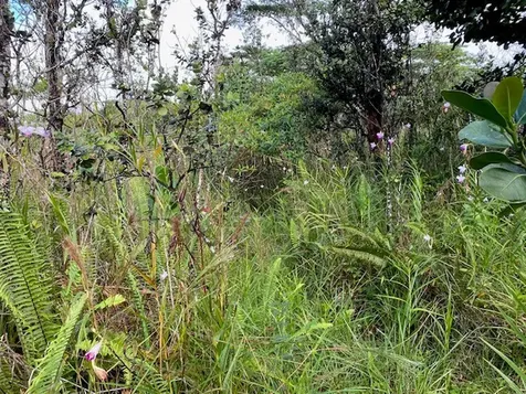 7th Avenue Keaau HI 96749