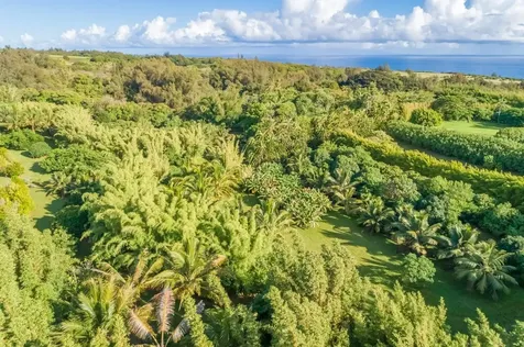 Union Mill Road Kapaau HI 96755