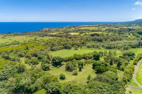 Union Mill Road Kapaau HI 96755